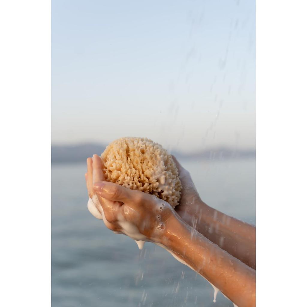 Croll and Denecke Natural Sea Sponge Silky Touch Size M 12cm Mediterranean Premium Silk Bath Sponge