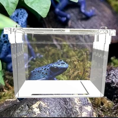 Plastic Reptile Breeding Box Bearded Dragon Lizard Container Reusable Cage Critter Keeper for Turtle Scorpion Critter