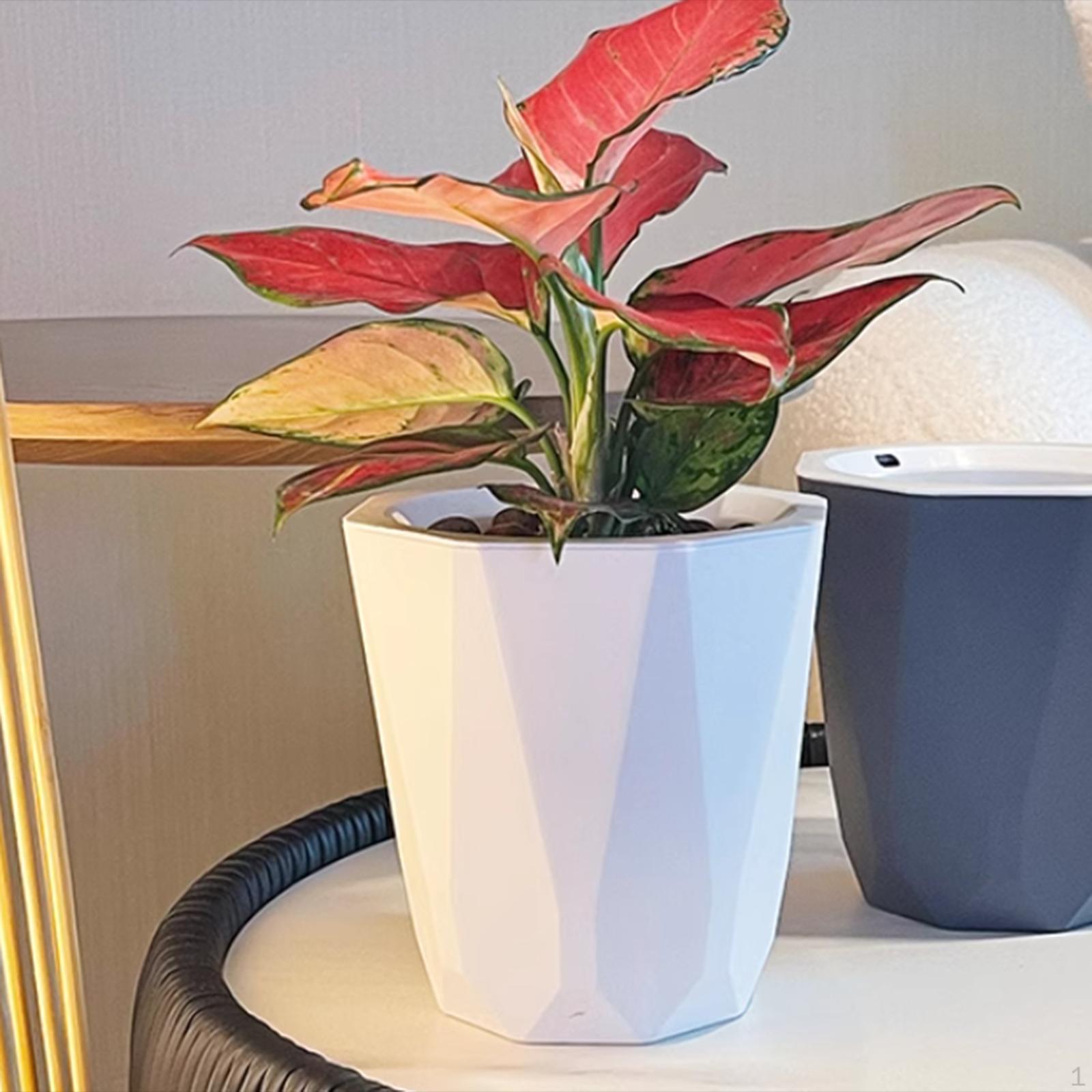 

Самополивающийся цветочный горшок для растений, настольный, практичный для комнатных растений, кашпо для фермерского хозяйства XL