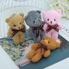 One-Piece Teddy Bear Plush Influencer Souvenir Doll Bag Charm Accessory