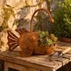 Baizihuahu Fish Shaped Metal Planter, Rustic Anglerfish Flower Pot, Decorative Rusty Plant Pot for Succulents Cacti Small Plants