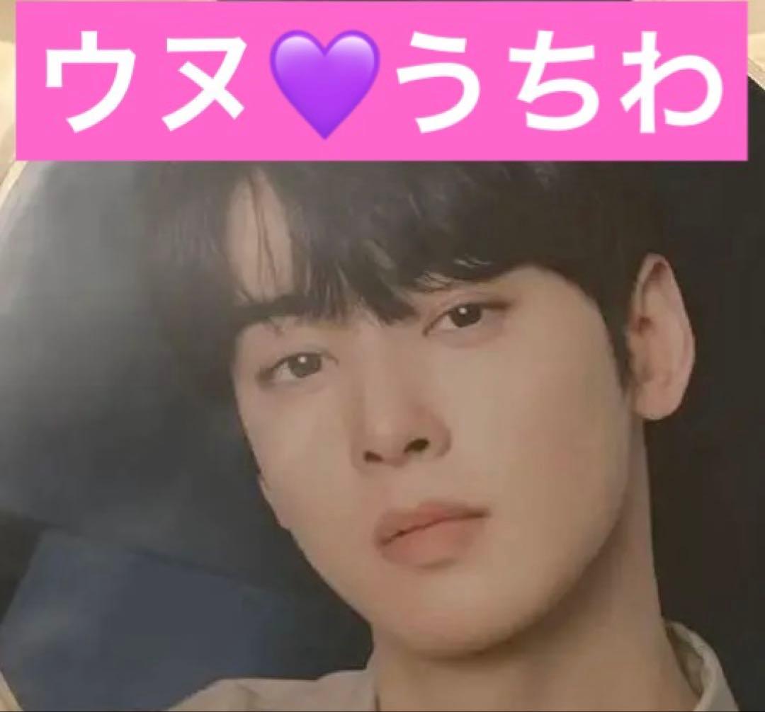 

[USED] Korean ASTRO Stargraphy Eunwoo Pickett Fan