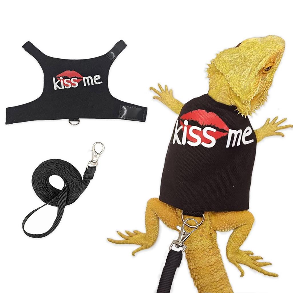 Verstellbares Geschirr für Bartagamen mit kurzer Leine. Bequemes Geschirr für Reptilien-Laufausrüstung für Outdoor-Aktivitäten