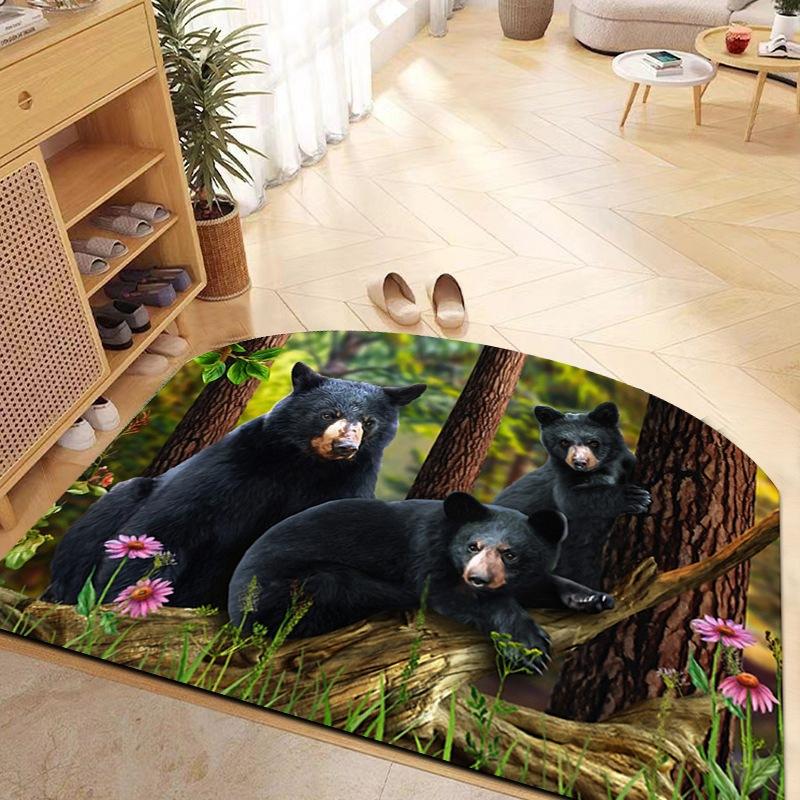 

Entrances Carpets Wear Resistant and Dirty Resistant Living Room Decorations Floor Pads Bedside Carpets 50 * 80cm