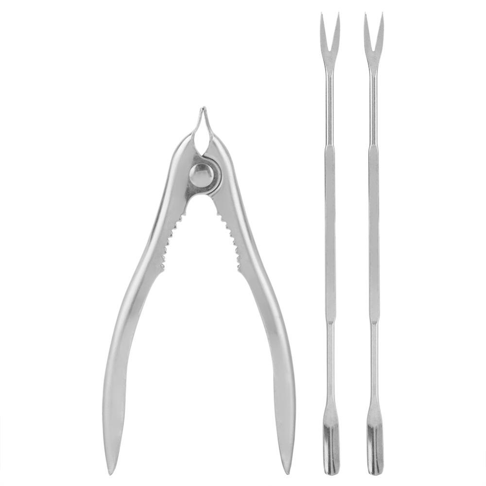 3Pcs Durable Seafood Utensil Hard Texture Crab Fork Reusable Seafood Tool  Home Dining