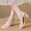 Open-toe Sandals Women 2026 Summer New Buckle Fashion Solid Color Female Shoes Temperament Chunky High Heel