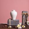 INS Decorare vază cu flori Vază mică din ceramică Artizanat alb Sticlă de flori Camera de zi CeramicStilul nordic minimalist
