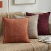 Pillow Cover Does Not Contain Core, Double-sided Chenille Edge Solid Color Pillow, Office Sofa Back Pillow, Bedside Cushion Cover