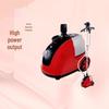 Yangtze Handheld Portable Garment Steamer and Electric Iron