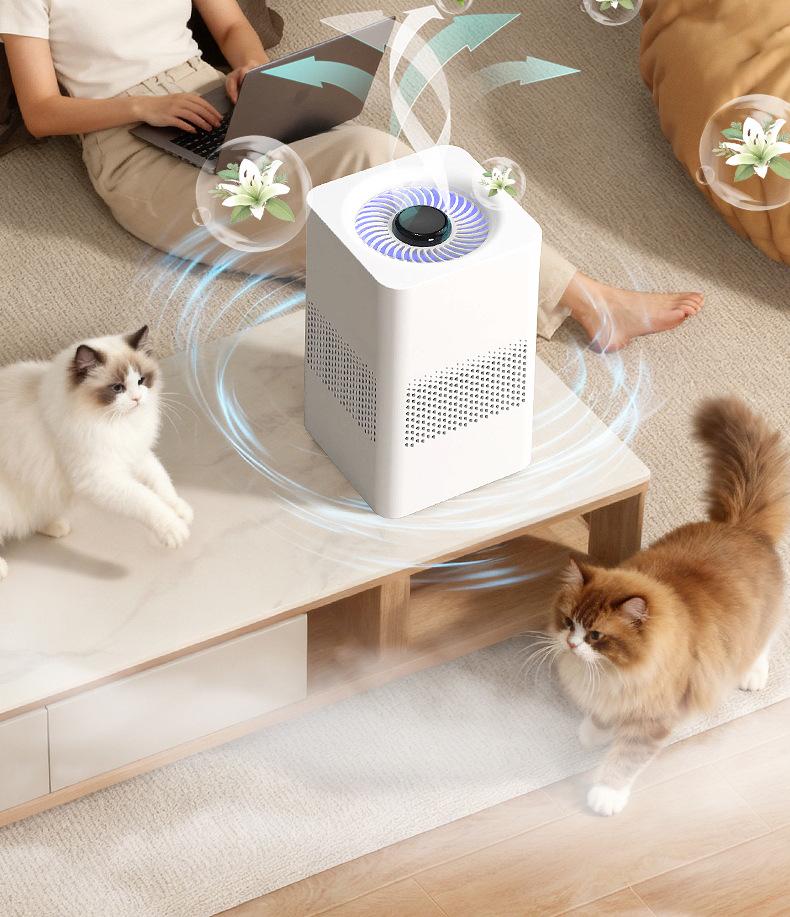 USB Air Purifier: Negative Ion, Formaldehyde & Odor Removal, Indoor Deodorizer