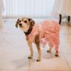 Dog Dresses Puppy Wedding Dress Female Dogs Wedding Costume Girl Dogs Rose Dress for Doggy Teddy Chihuahua Pet Princess Clothing