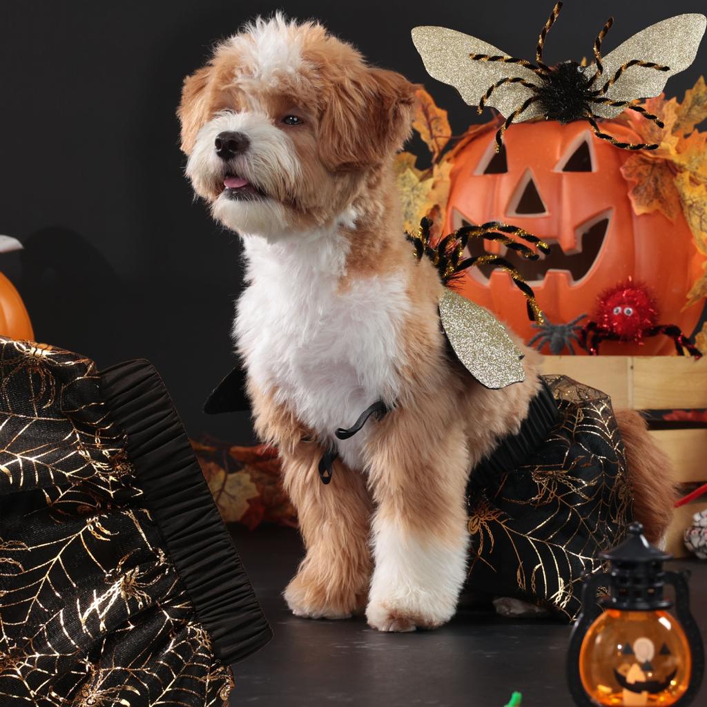 Dog Halloween Costume Pet Clothes Spider Shape Funny Puppy Suit Pet Cosplay Spider Wings Outfit Party Christmas Apparel Dog Sets