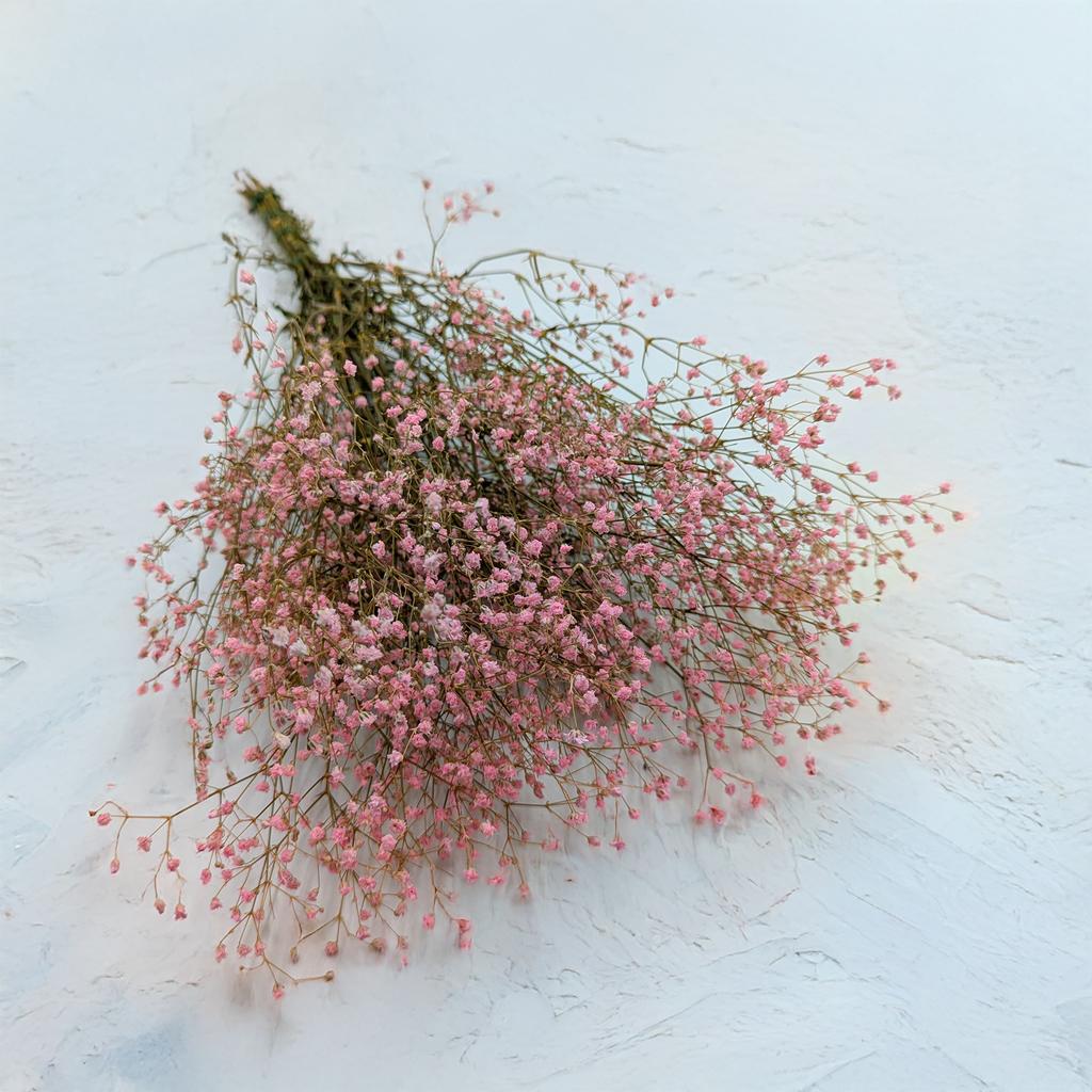 Gipsówka Stabilizowana - (Gypsophila) - Pastelowy Różowy