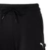 Puma Sports Life Collection Casual Shorts Women's Black 692479-01