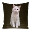 The cute cats from Northern Europe Digital printing short plush pillow covers for car sofa office cushion cover home goods