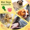Jenaai 11 Pcs Dog Squeaky Toys Squeaky Latex Dog Toys Soft Chew Rubber Dog Toy Rubber Chew Toys for Dogs Assorted Animal Pet Toys Puppy Fetch Pet