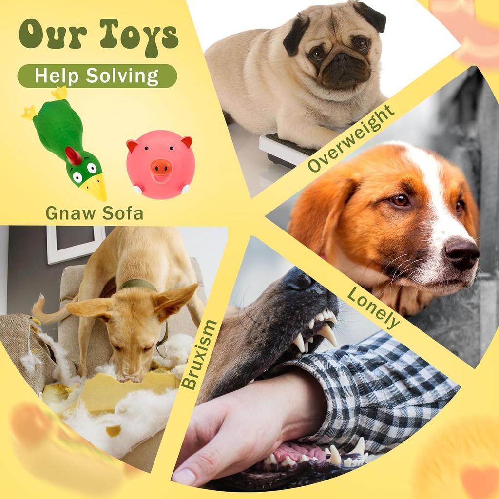 Jenaai 11 Pcs Dog Squeaky Toys Squeaky Latex Dog Toys Soft Chew Rubber Dog Toy Rubber Chew Toys for Dogs Assorted Animal Pet Toys Puppy Fetch Pet