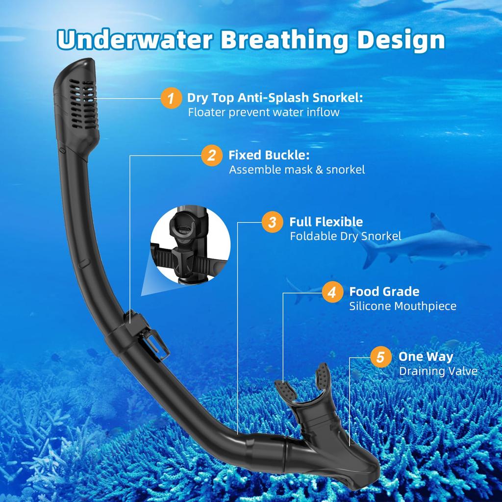Adult Snorkel Set, Snorkeling Gear, Reinforced Glass Lens, Panoramic View, Swim Mask, Dry Top, Snorkel Kit, Swimming, Travel