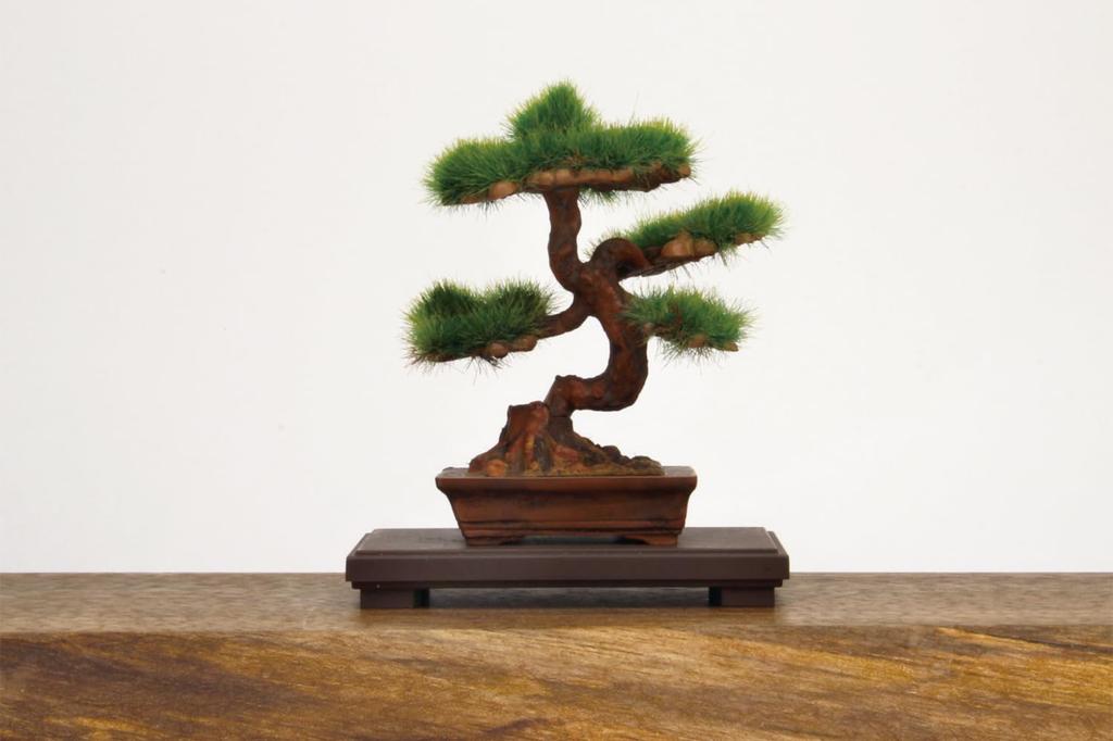 PLATZ The Bonsai 4 Plastic Model 1/12 BON-04