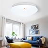 Ruidetai Microwave LED Ceiling Light