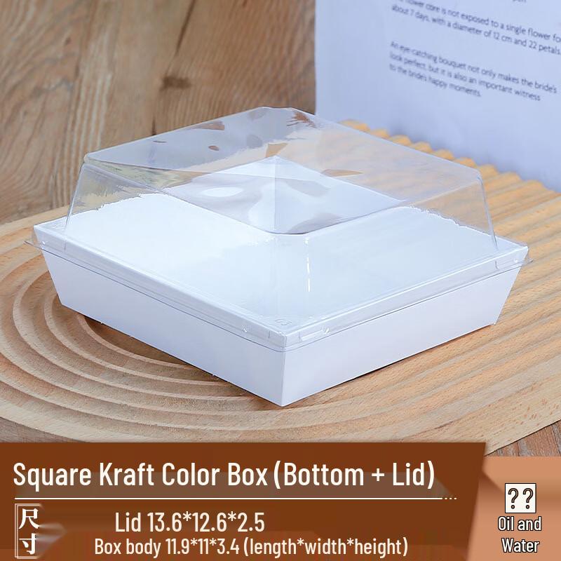 Disposable Picnic Box
