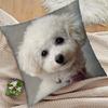 1pc Realistic White Teddy Dog Pattern Printed Pillowcase, Healing Style Home Decor Cushion Cover, Zipper Closure, Machine Washable, Suitable for Livin