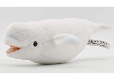 BH6651 HANSA Beluga 25