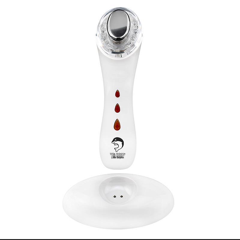 Ultrasonic Iontophoresis & Vibrating Light Therapy Skin Rejuvenation Device