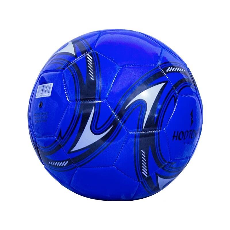 Hodtown Sports Ball Air Pump