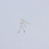 5Pcs Watch Movement Accessories Suitable For 7009 7S26 7S36 Movement Automatic Fork Mechanical Watch Parts
