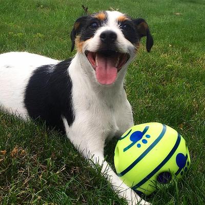 Dog Toy Fun Giggle Sounds Ball Pet Cat Dog Toys Silicon Jumping Interactive Toy Training Ball For Small Large Dogs