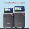 Malata M+9528 High Power Outdoor Portable Karaoke Machine with Screen CN plug (adapter included)