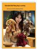 2023 Cute Puppy Plush Doll - Children's Toy, Birthday Gift, Exquisite Design