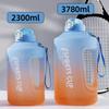23/38L Athletic Water Bottle Roomy Lightweight Gym Biking Cup Outdoor Use Travel Gym Fitness Plastic Cup Travel Water Kettle