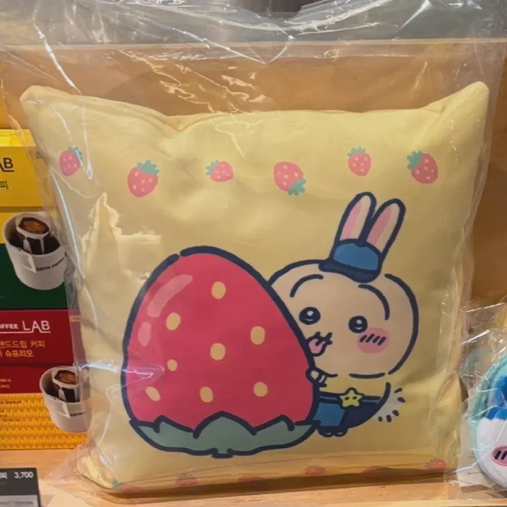 

Idiya Sells Usagi Cushions First!