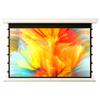 IN&VI Anti-Light Motorized Projector Screen