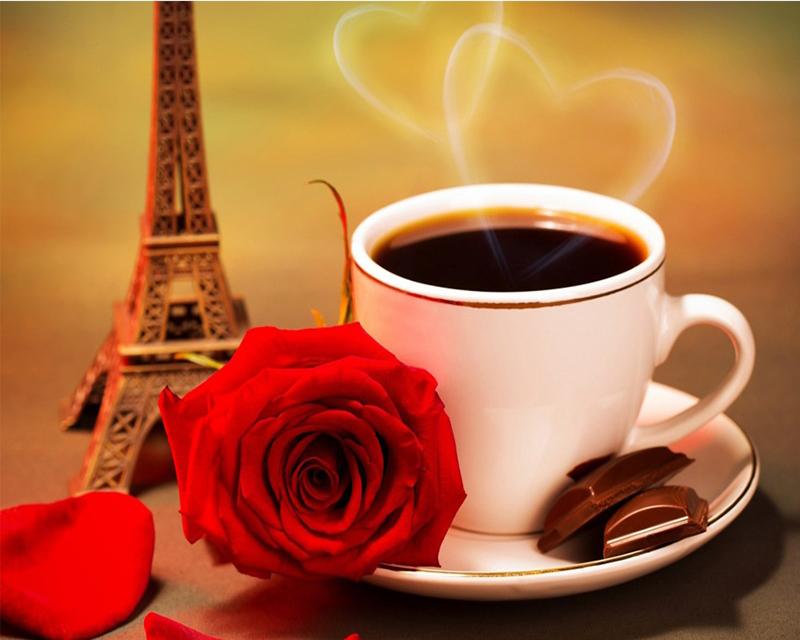 Diamond Painting Coffee Flower Landscape Seaside 5D DIY Diamond Embroidery Sale Tiger Animal Cross Stitch Rhinestones Mosaic Handmade Gift