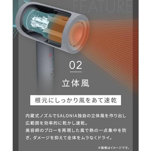SALONIA Air Treatment Dryer Large Air Volume Quick Drying Lightweight Hair Dryer Stone Gray [.co.jp Exclusive]