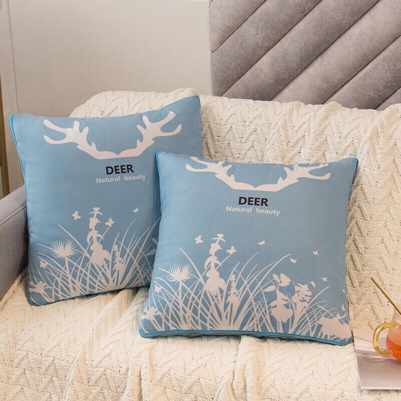 Grace 2-in-1 Convertible Pillow Blanket
