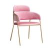 Contemporary Plush Backrest Chair for Home, Office, or Leisure.