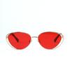 Glasses 30023 Punk Double Frame Pussy Eye Multicolor Vintage Sunglasses, Ladies Sunglasses
