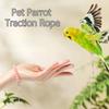 New Elastic Parrot Traction Rope Metal Buckle Multiple Size Bird Foot Chain Anti-flying Lightweight Bird Feet Bracelet for Birds