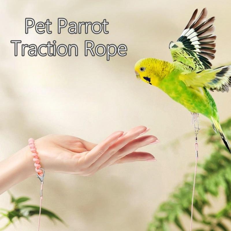 New Elastic Parrot Traction Rope Metal Buckle Multiple Size Bird Foot Chain Anti-flying Lightweight Bird Feet Bracelet for Birds
