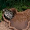 Amphibisches Reptilienbecken mit Stufenzugang, abnehmbaren Komponenten für sicheres Baden und Ruhen von Schildkröten