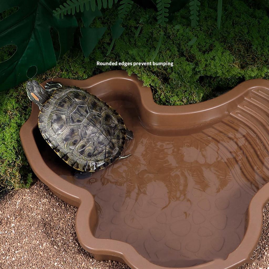 Amphibisches Reptilienbecken mit Stufenzugang, abnehmbaren Komponenten für sicheres Baden und Ruhen von Schildkröten