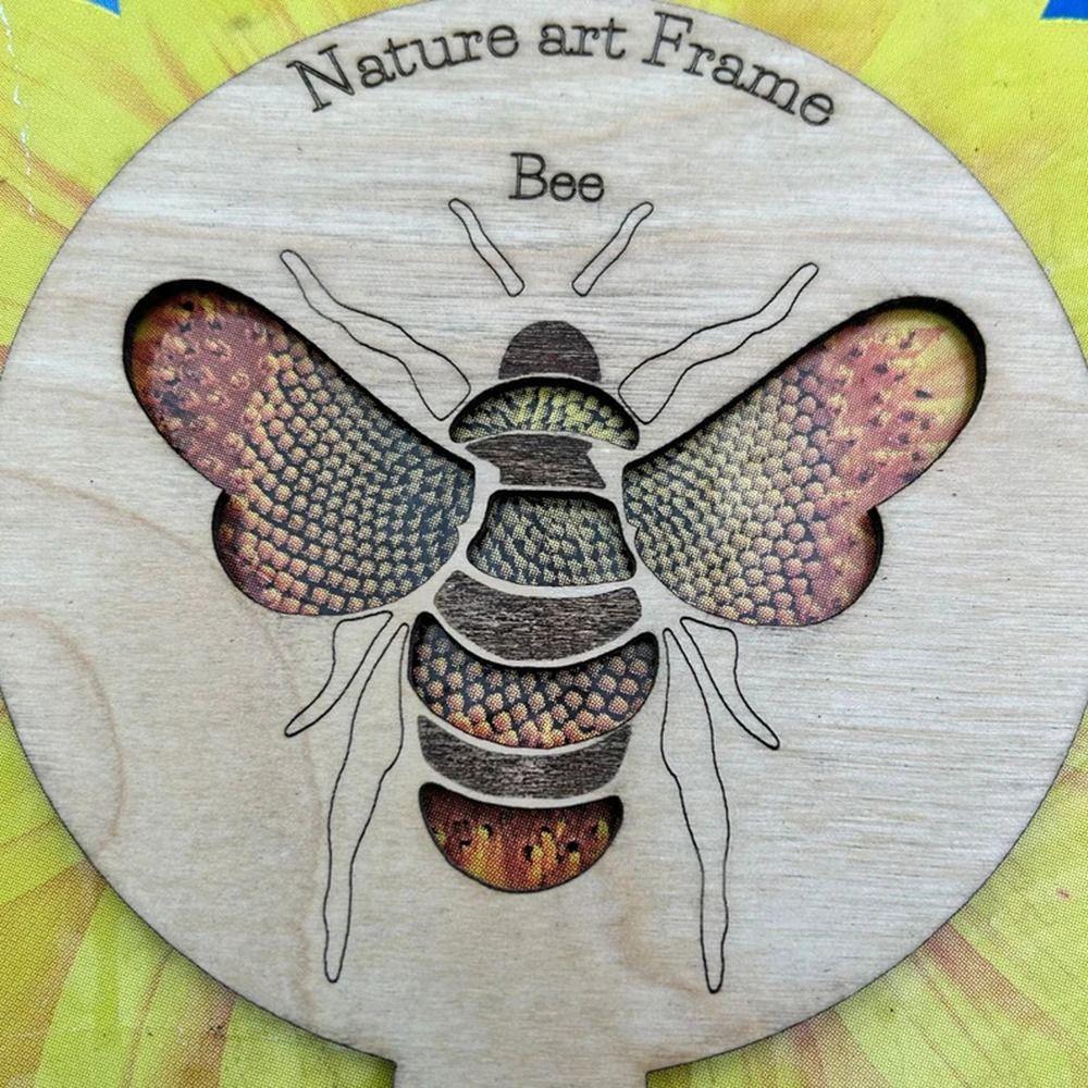 3Pcs Butterfly Hollow Ladybird Bee Wooden Frame Creative Animal Shape Frame  Children's Toy