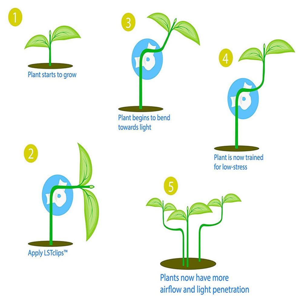 Plant Branch Bender 360 Degree 4*1cm/1.57* 0.4 Inch Clips