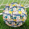 Pokemon Print Size 5 Soccer Ball, Standard Match Football for Sports Game and Team Practice, Ideal Gift for Soccer Fans