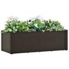 Vidaxl Podwyższona Donica Z Systemem Podlewania, Mokka, 100X43X33 Cm
