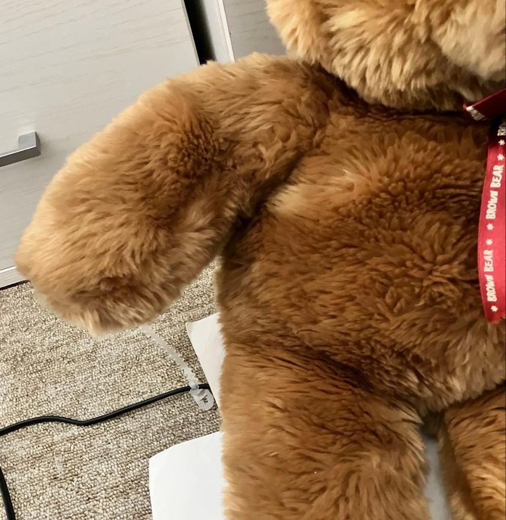 [USED] Brown Bear Teddy Bear, Large Size